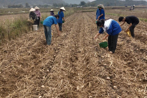 <a href="/hoat-dong-doan" title="Hoạt động Đoàn" rel="dofollow">Hoạt động Đoàn</a>