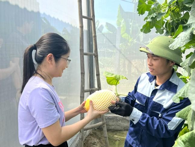 Chàng kỹ sư điện 9x về quê trồng dưa lưới, thành công ngay lần đầu khởi nghiệp ảnh 4