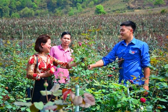 Khách phương xa thăm trang trại hoa hồng của Lê Xuân Khương.
