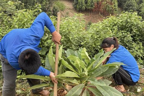 <a href="/hoat-dong-hoi" title="Hoạt động Hội" rel="dofollow">Hoạt động Hội</a>