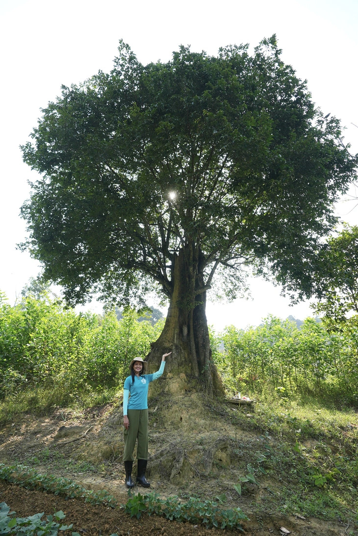 H'Hen Niê bên cây lim ngàn năm tuổi - Ảnh: NVCC