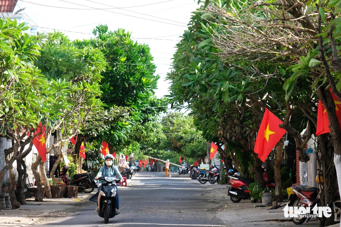 200 lá cờ tạo thành "Đường cờ Tổ quốc" trong khu dân cư yên bình trên đảo Phú Quý - Ảnh: VŨ THỦY