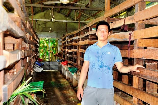 Bỏ trường y, chàng trai về quê khởi nghiệp nuôi hươu sao ảnh 1